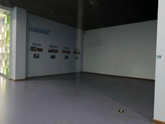 -盐城丹顶鹤湿地生态旅游区