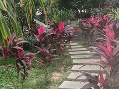 -南和农业嘉年华