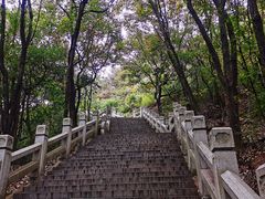 -灵岩山风景区