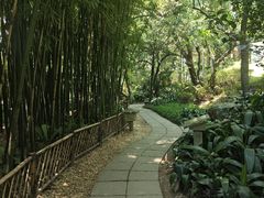 -广州兰圃