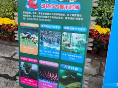 -深圳野生动物园
