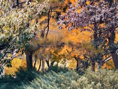 -元大都城垣遗址公园