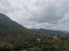 -杨梅坑