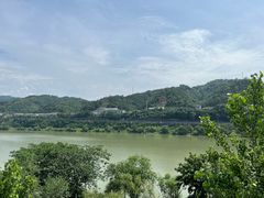 -后柳水乡