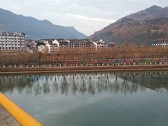 -后柳水乡