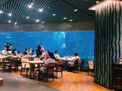 -海棠湾洲际-涛·海底餐厅·美人鱼·自助餐·海底隧道