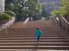 -香港大学