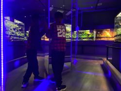 -未来动物城主题公园(正弘城店)