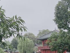 -房湖公园