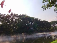 -广州长隆飞鸟乐园