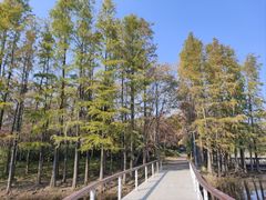 -长广溪湿地公园