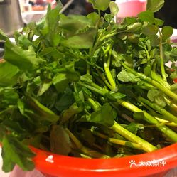 怎么种西洋菜最好 por_WnSdrO5NLbrhKKDM7ryAkrbgxkchNFbH8XXT_7ks4zkFWsiNVa9utiDliPcGuzFvxlbkWx5uwqY2qcjixFEuLYk00OmSS1IdNpm8K8sG4JN9RIm2mTKcbLtc2o2vfCF2ubeXzk49OsGrXt_KYDCngOyCwZK-s3fqawWswzk.jpg