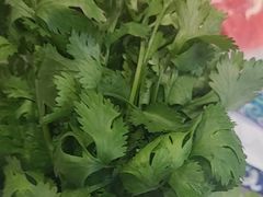 -草原传奇鲜羊火锅(桥北店)