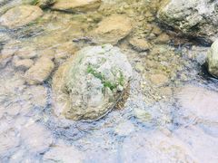 -中铁花水湾四季温泉谷