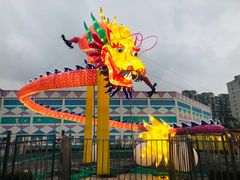 -锦江乐园舞狸花花游园会(夜场专享)