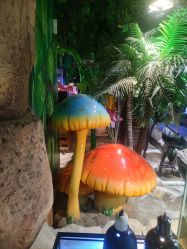 -酷嗒动物文化乐园(cutezoo西溪乐天城店)