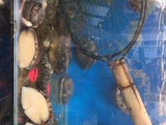 -宾朋海鲜特色美食餐厅·纯手工鲅鱼水饺(兴海路店)