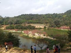 -南国桃园旅游度假区