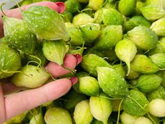 -许鲜生健康生活馆·精细潮菜(奥绅体育公园店)