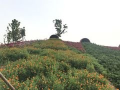 -金卉庄园