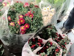 -至尚形象·化妆服饰搭配礼仪培训