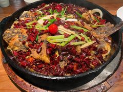 -老板恋上鱼(振华商厦店)