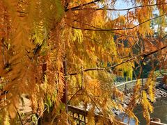 -厦门园林博览苑