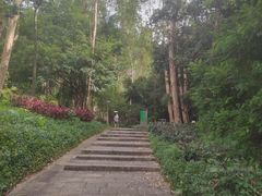 -火炉山森林公园