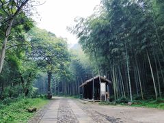 -黄公望隐居地