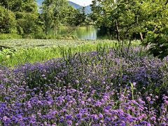 -烟水渔庄餐厅(西溪湿地店)