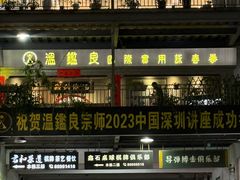 -温鉴良实用咏春拳