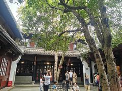 -溪口-滕头旅游景区