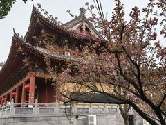 -洛阳白马寺