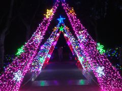 景点-蠡湖中央公园