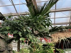 -南宫五洲植物乐园