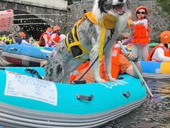 -安吉龙王山峡谷漂流