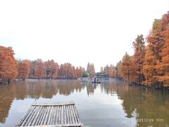 -尚湖风景区