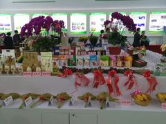 -沈阳国际会展中心管理有限公司