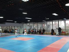 -陈中跆拳道(中关村馆)