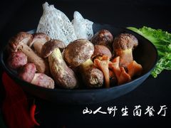 -山人野生菌餐厅