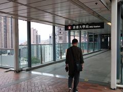 -香港大学