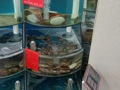 -聚德福海鲜家常菜(刘庄店)