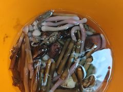 -红树林天天赶海