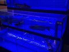 -拿渡·水煮鱼 麻辣香锅(西单大悦城店)