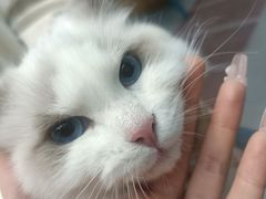 -联合动物医院(光谷诊疗中心)