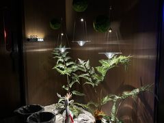 -大桶大足浴(山钢和润荟店)