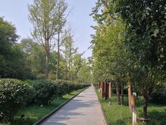 -唐城墙遗址公园