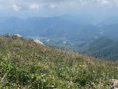 -白草畔自然风景区