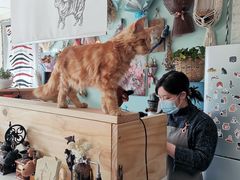 -平行世界·猫咖(首经贸店)