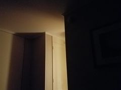 -铂尔曼奥克兰公寓酒店